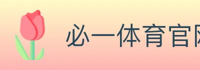 必一体育官网 logo